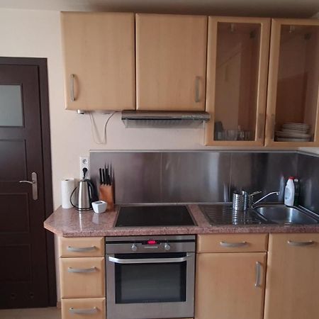 Apartament Czarny Potok Krynica-Zdrój Extérieur photo